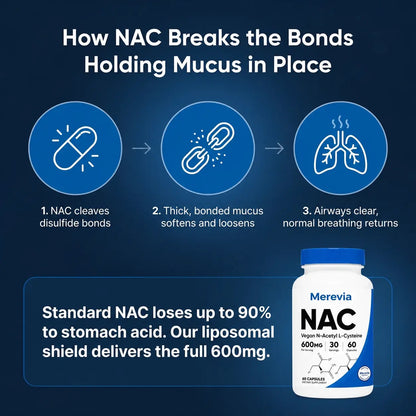 Liposomal NAC - Mucus Relief & Lung Support